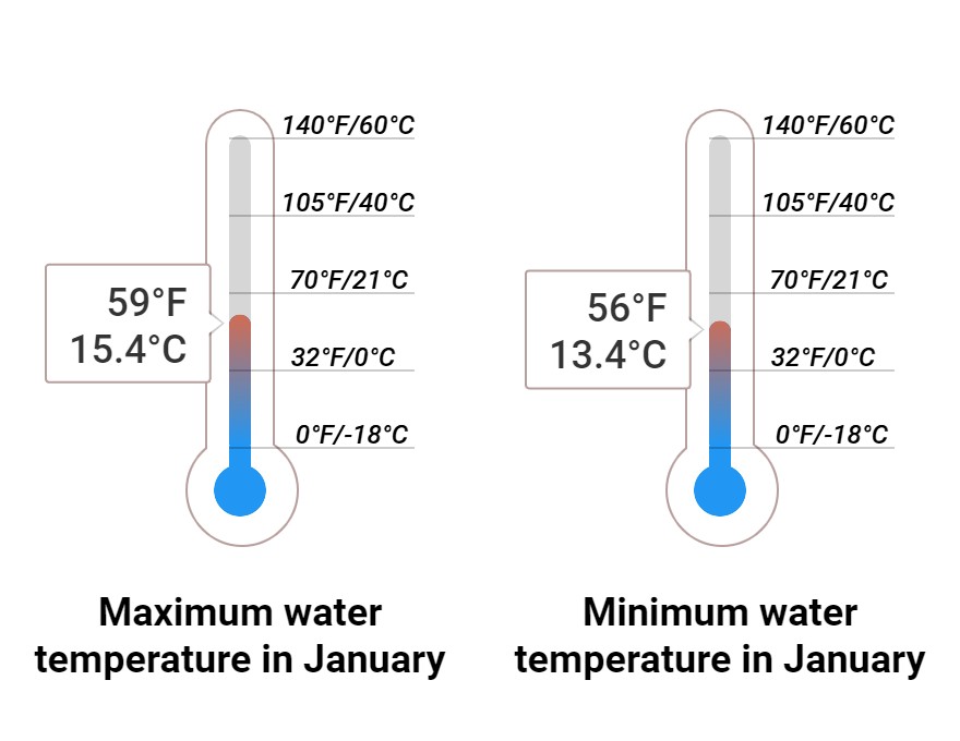 Average Sea temperature